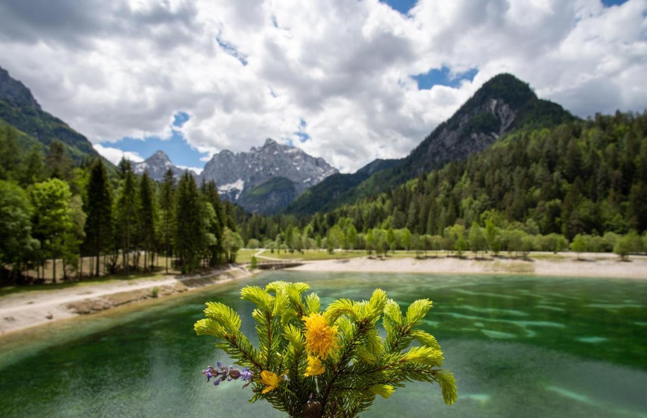 Apartment Spica - Private Parking Kranjska Gora Exteriér fotografie